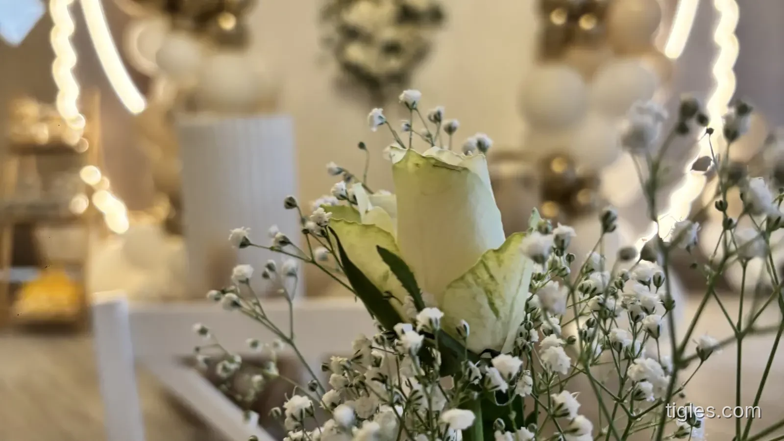 Kopertina Elsa events